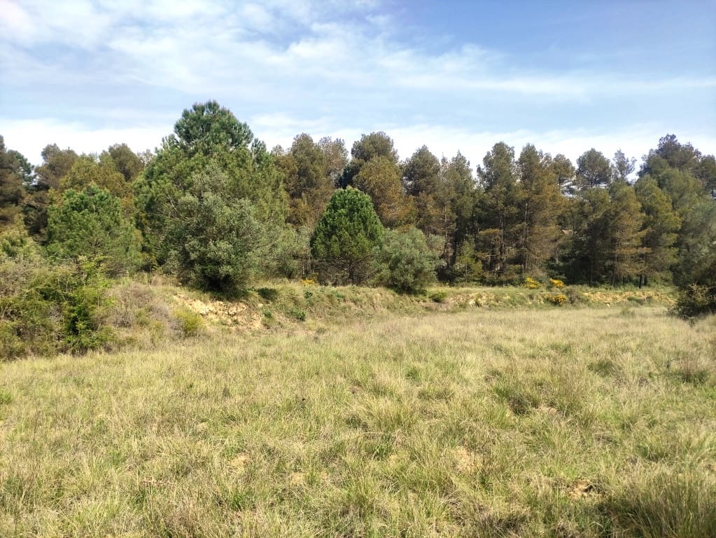 2 chambre Finca/Maison de Campagne à vendre à Bocairent - 125 000 € (Ref: 9065590)