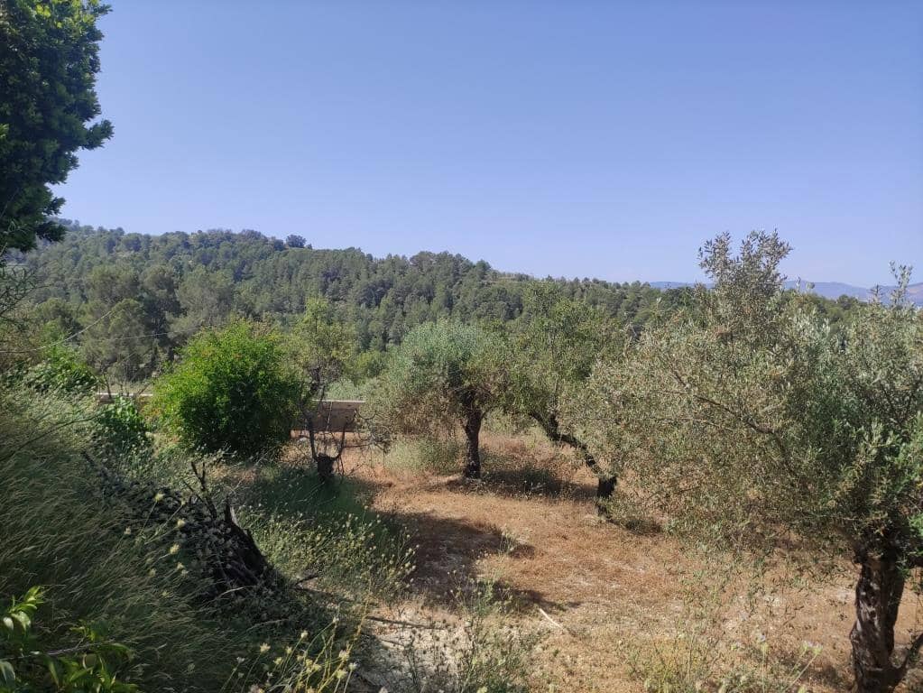 2 sypialnia Finka/Dom wiejski na sprzedaż w Benillup z basenem garażem - 115 000 € (Ref: 9073685)