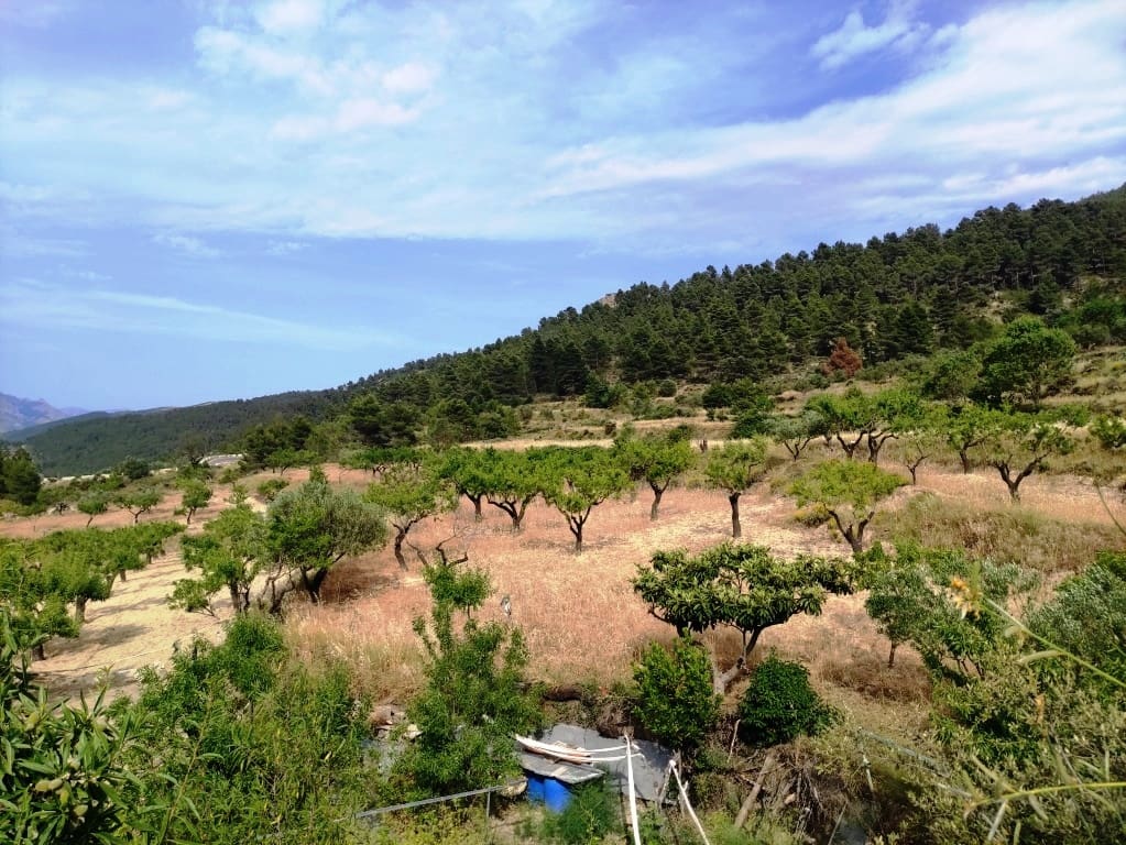 2 soveværelse Finca/Landehus til salg i Penaguila - € 85.000 (Ref: 9075259)