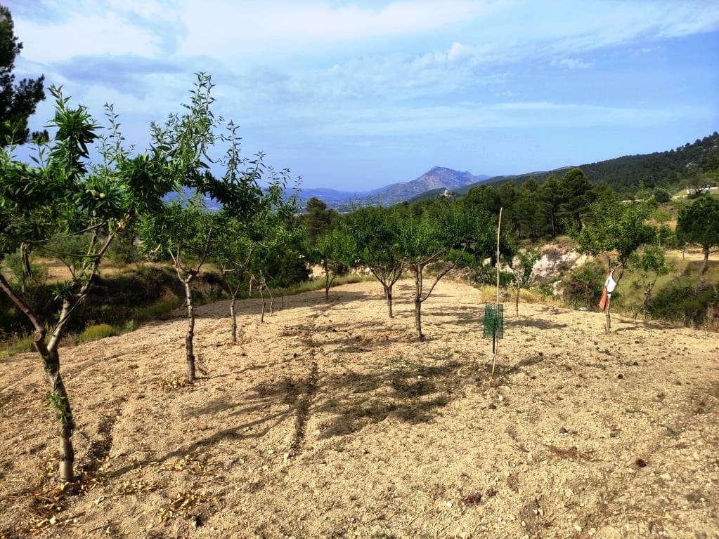 2 soveværelse Finca/Landehus til salg i Penaguila - € 85.000 (Ref: 9075259)