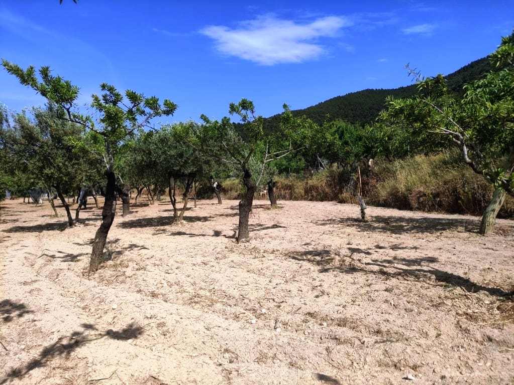 2 soveværelse Finca/Landehus til salg i Penaguila - € 85.000 (Ref: 9075259)