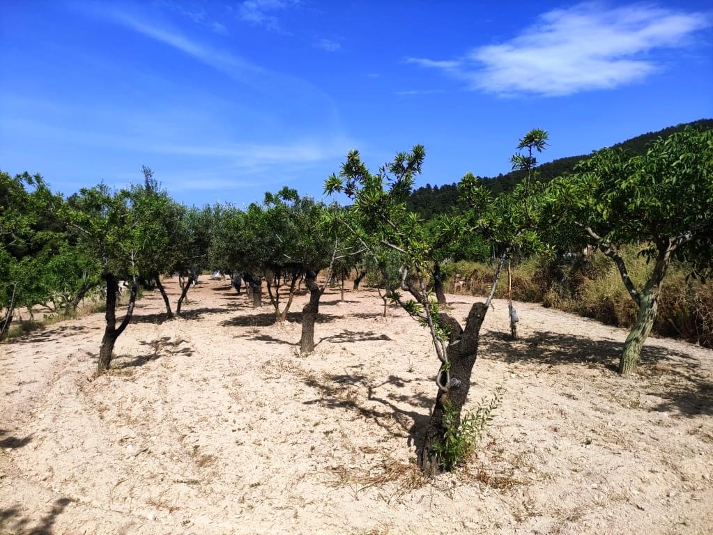 2 soveværelse Finca/Landehus til salg i Penaguila - € 85.000 (Ref: 9075259)