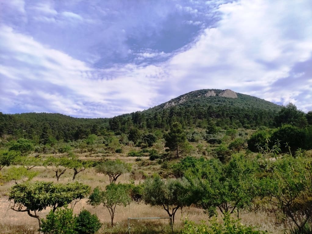 2 soveværelse Finca/Landehus til salg i Penaguila - € 85.000 (Ref: 9075259)