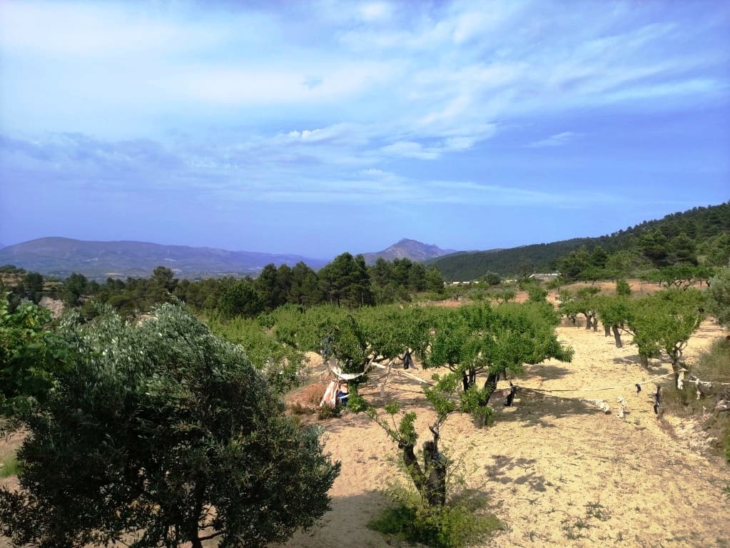 2 soveværelse Finca/Landehus til salg i Penaguila - € 85.000 (Ref: 9075259)