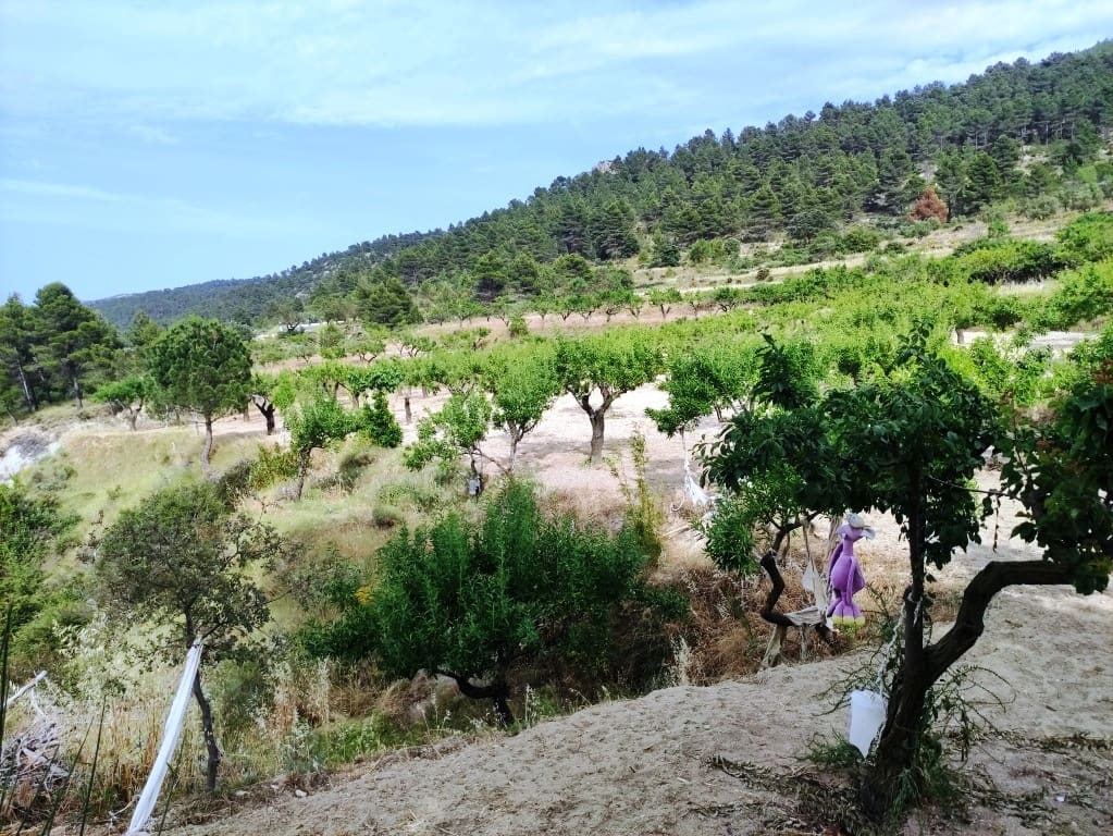 2 soveværelse Finca/Landehus til salg i Penaguila - € 85.000 (Ref: 9075259)