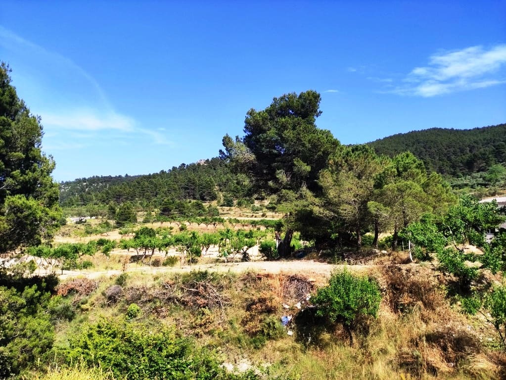 2 soveværelse Finca/Landehus til salg i Penaguila - € 85.000 (Ref: 9075259)