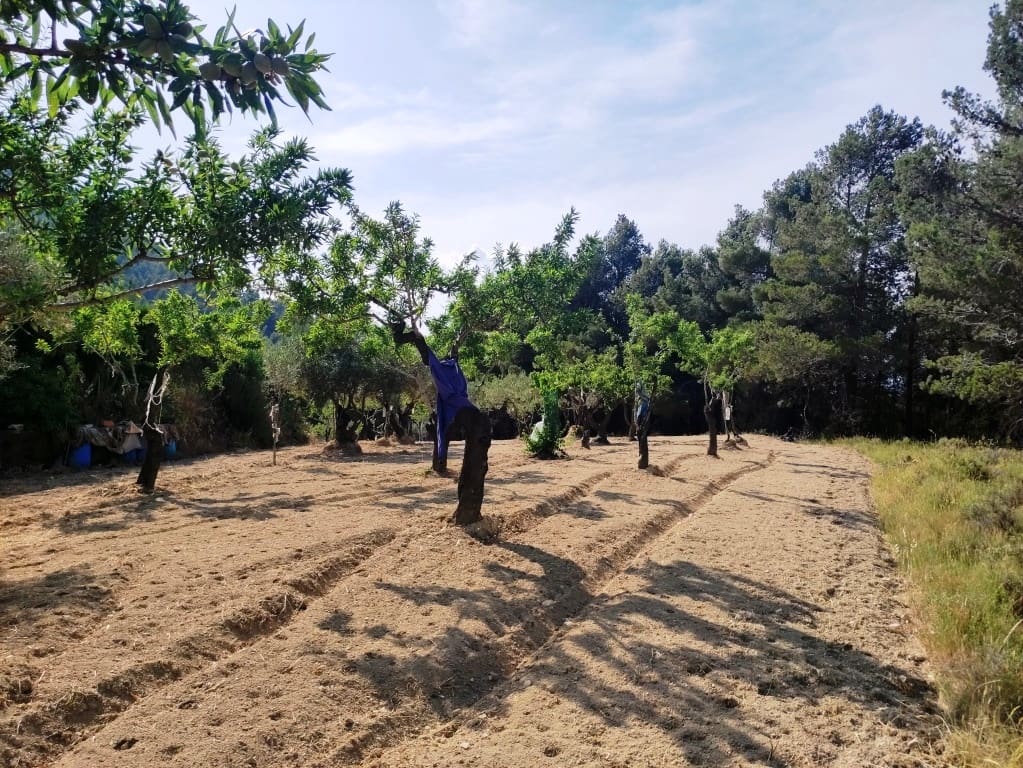 2 soveværelse Finca/Landehus til salg i Penaguila - € 85.000 (Ref: 9075259)