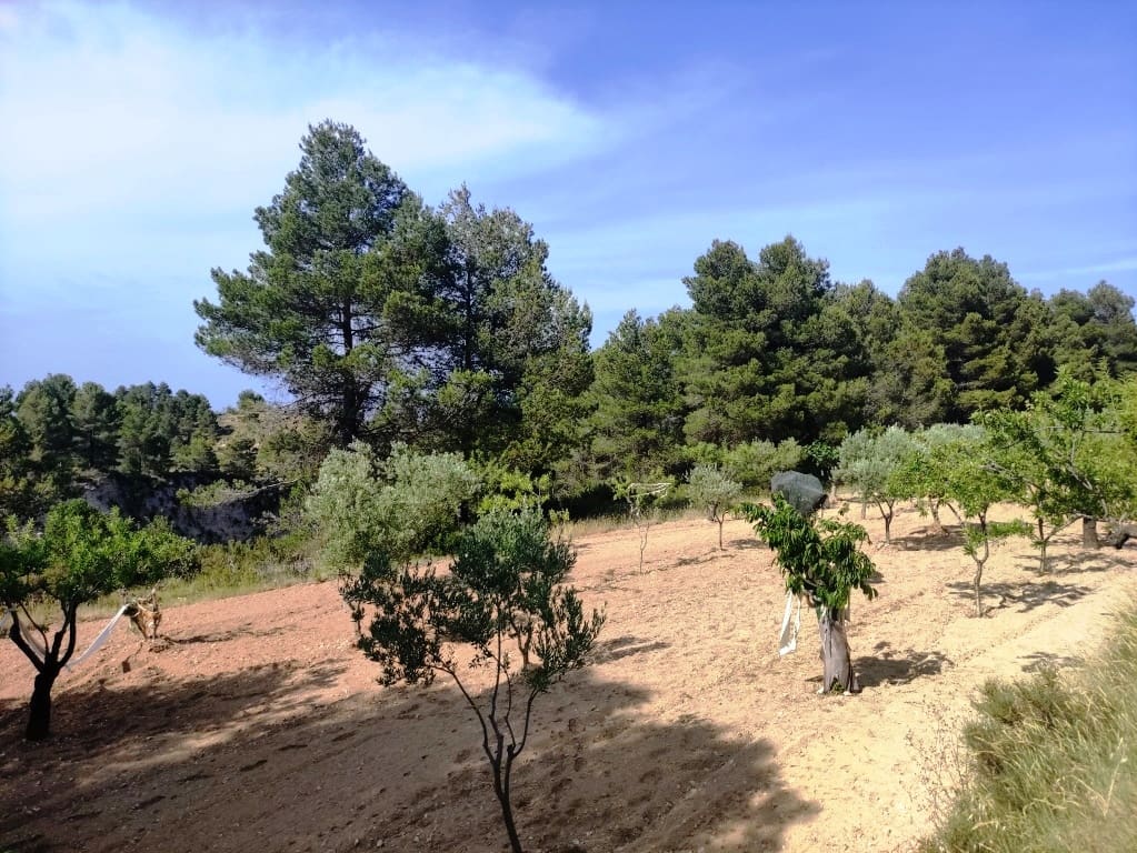 2 soveværelse Finca/Landehus til salg i Penaguila - € 85.000 (Ref: 9075259)