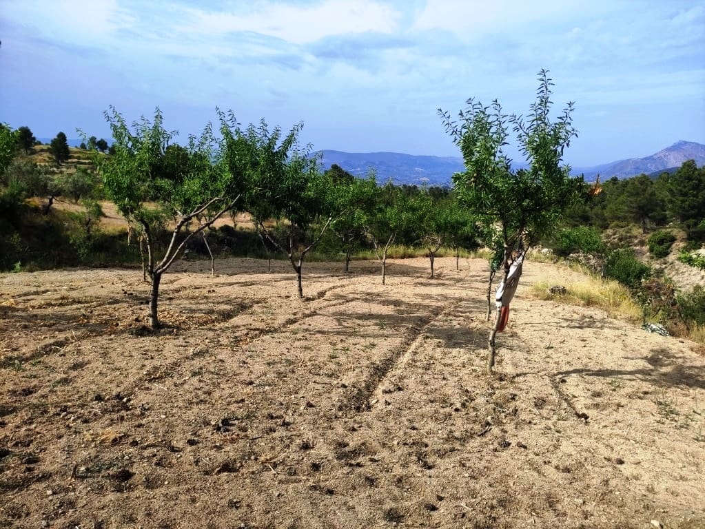 2 soveværelse Finca/Landehus til salg i Penaguila - € 85.000 (Ref: 9075259)