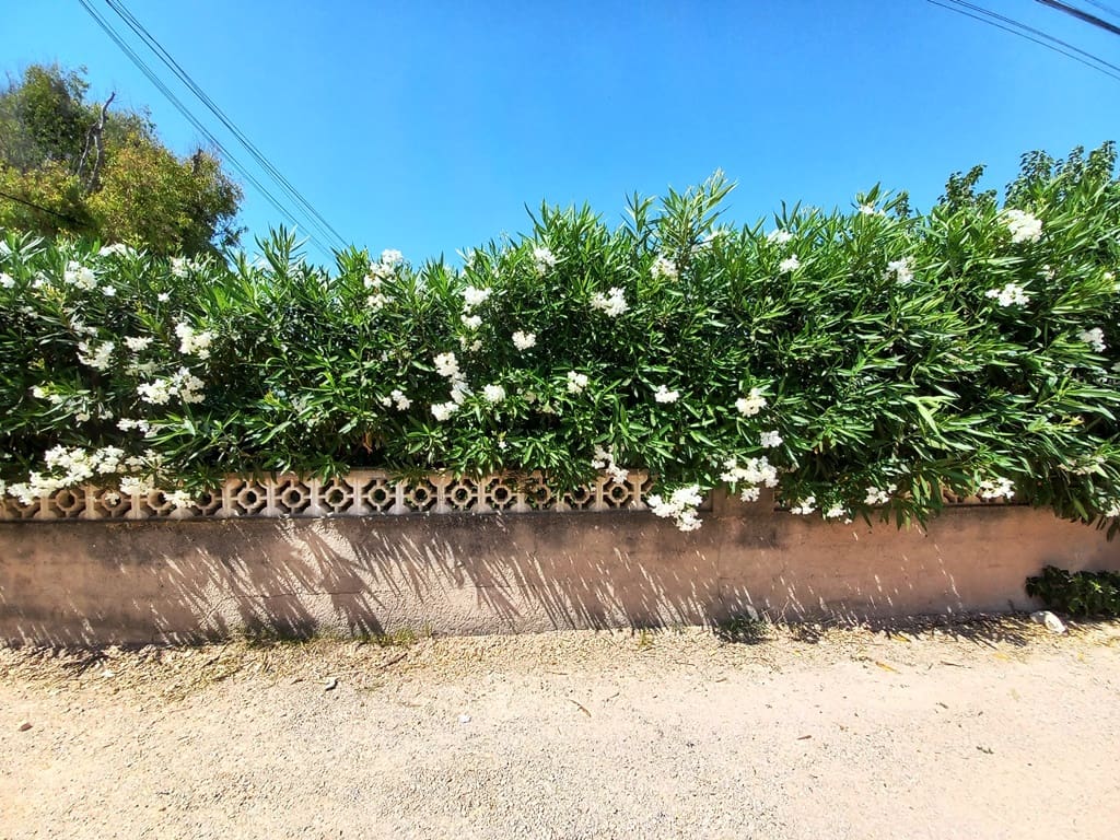 3 makuuhuone Huvila myytävänä paikassa Denia mukana 
autotalli - 450 000 € (Ref: 9101596)