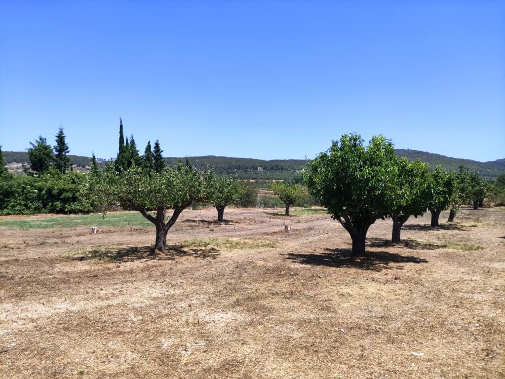 3 soveværelse Finca/Landehus til salg i Agres - € 149.000 (Ref: 9114473)