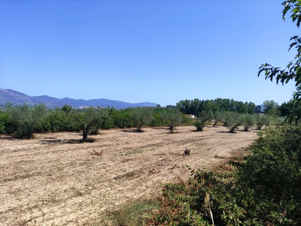 2 bedroom Finca/Country House for sale in Benimarfull with pool garage - € 285,000 (Ref: 9146464)