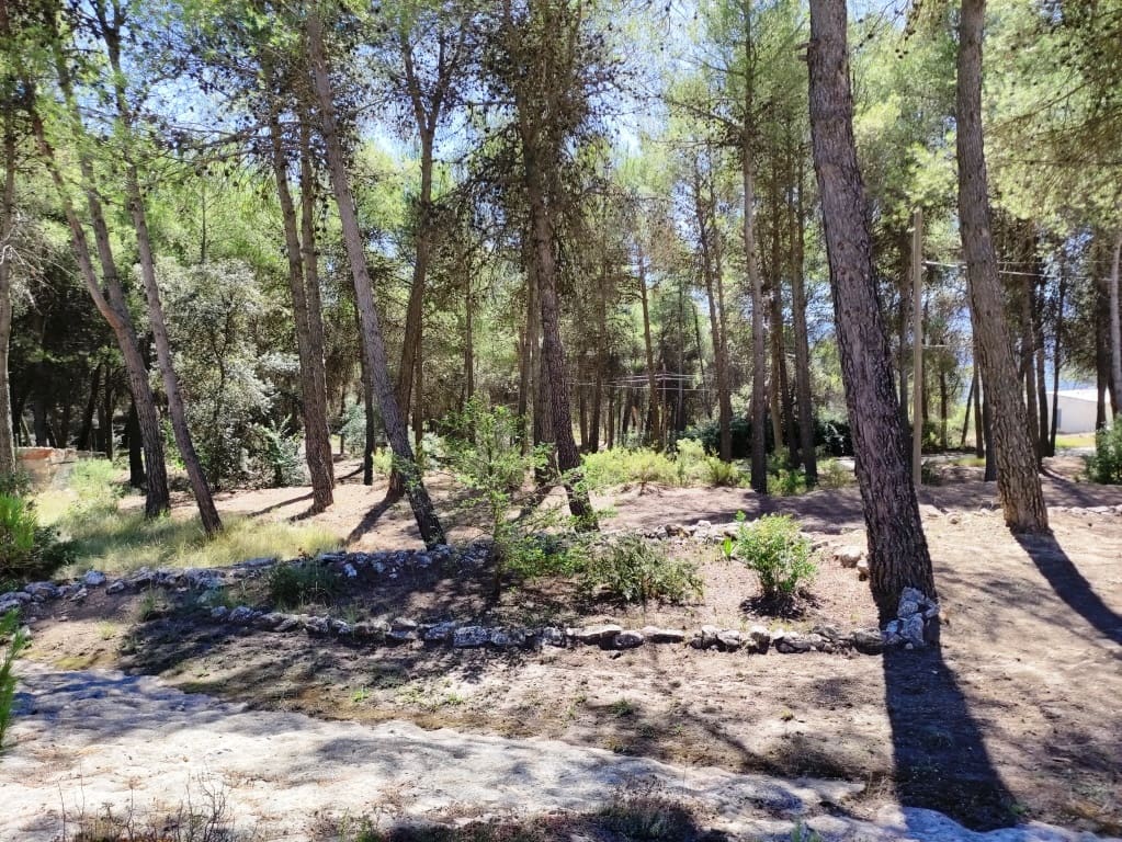 3 chambre Finca/Maison de Campagne à vendre à Alcoy / Alcoi - 180 000 € (Ref: 9230620)