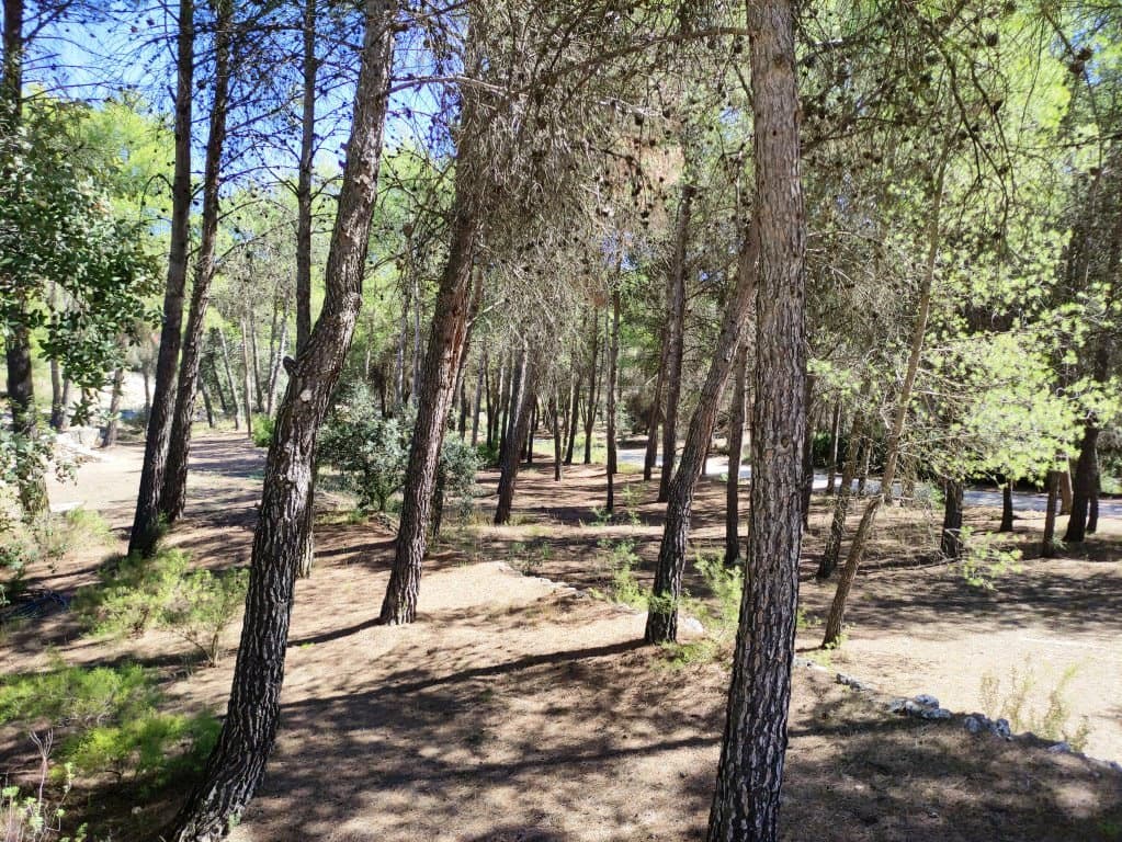 3 chambre Finca/Maison de Campagne à vendre à Alcoy / Alcoi - 180 000 € (Ref: 9230620)