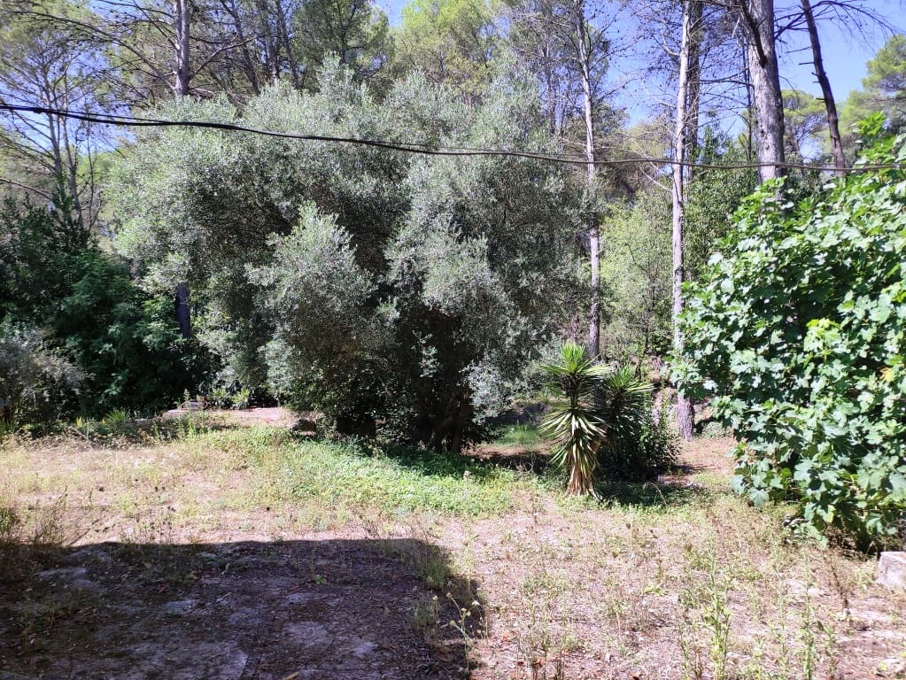 4 soveværelse Finca/Landehus til salg i Villalonga med garage - € 200.000 (Ref: 9230621)