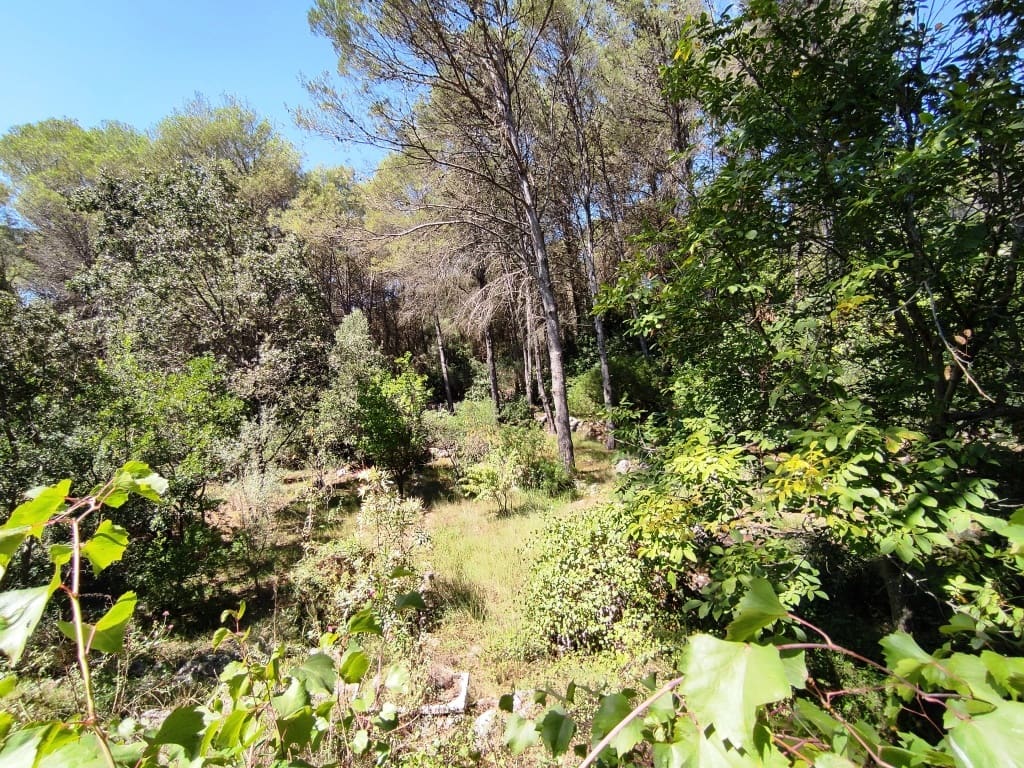 4 soveværelse Finca/Landehus til salg i Villalonga med garage - € 200.000 (Ref: 9230621)