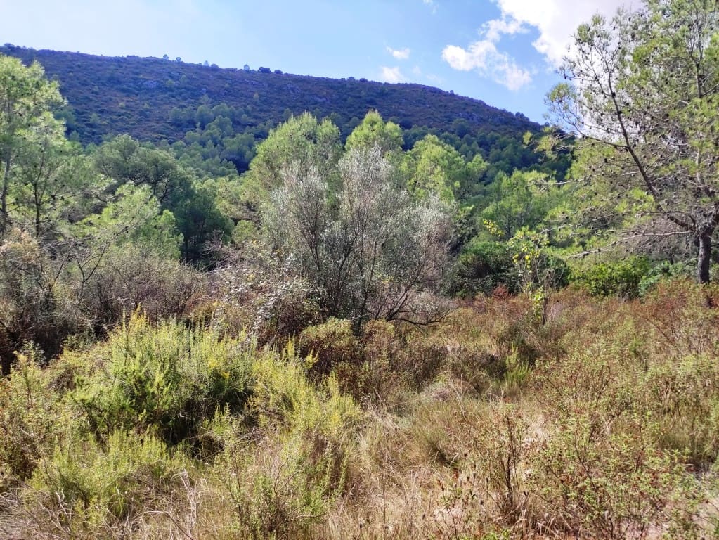 4 soveværelse Finca/Landehus til salg i Villalonga med garage - € 193.000 (Ref: 9263851)