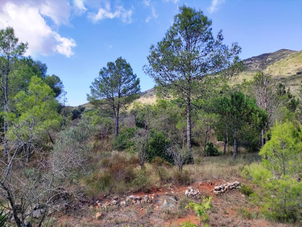 4 soveværelse Finca/Landehus til salg i Villalonga med garage - € 193.000 (Ref: 9263851)