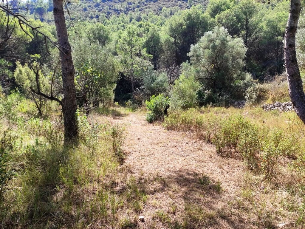 4 soveværelse Finca/Landehus til salg i Villalonga med garage - € 193.000 (Ref: 9263851)