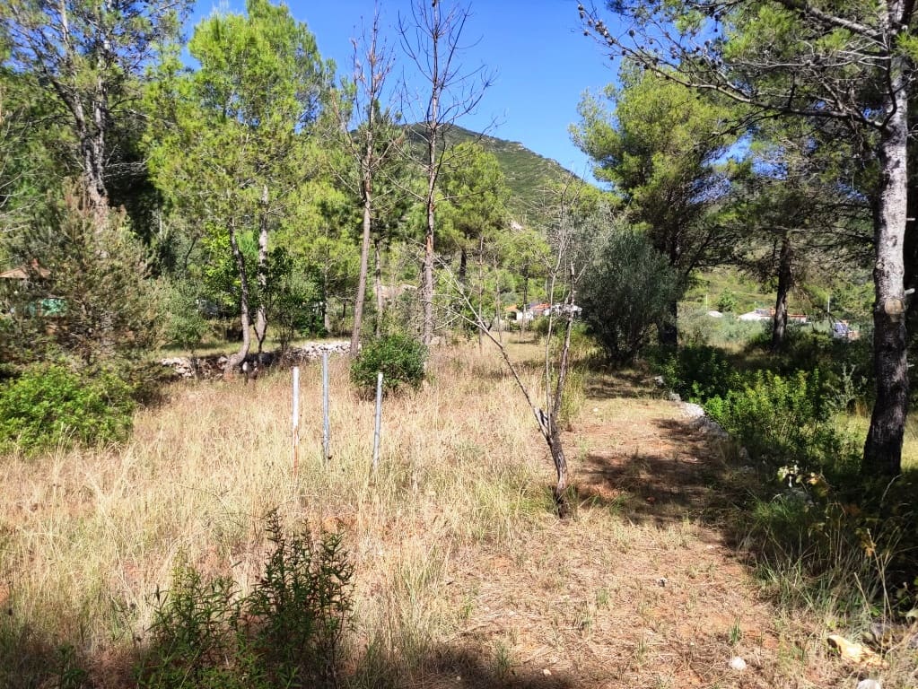 4 soveværelse Finca/Landehus til salg i Villalonga med garage - € 193.000 (Ref: 9263851)