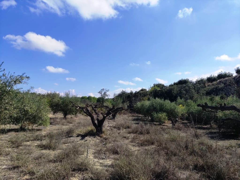 2 bedroom Finca/Country House for sale in Albaida with garage - € 129,950 (Ref: 9301422)