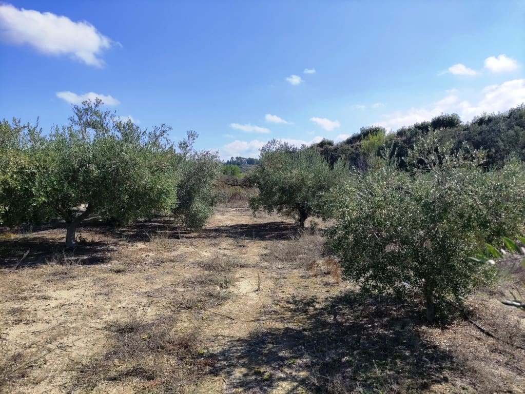 2 bedroom Finca/Country House for sale in Albaida with garage - € 129,950 (Ref: 9301422)