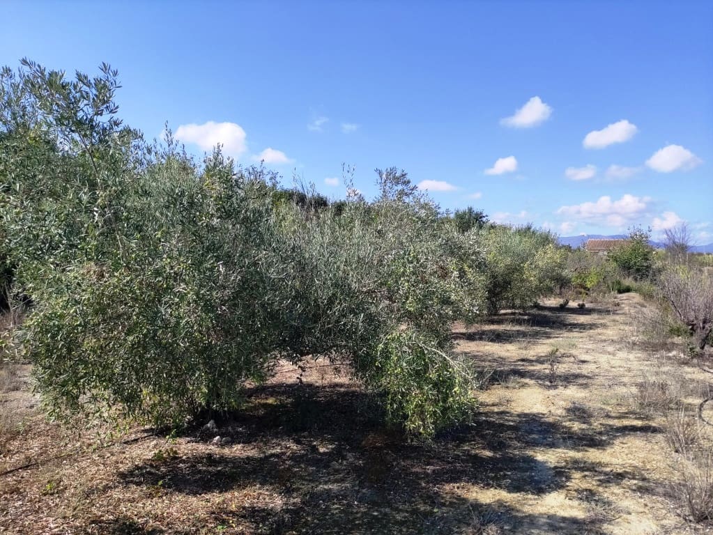 2 bedroom Finca/Country House for sale in Albaida with garage - € 129,950 (Ref: 9301422)