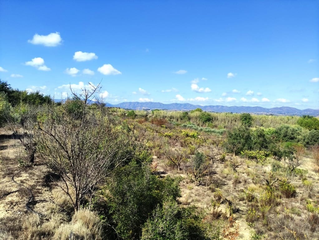 2 bedroom Finca/Country House for sale in Albaida with garage - € 129,950 (Ref: 9301422)