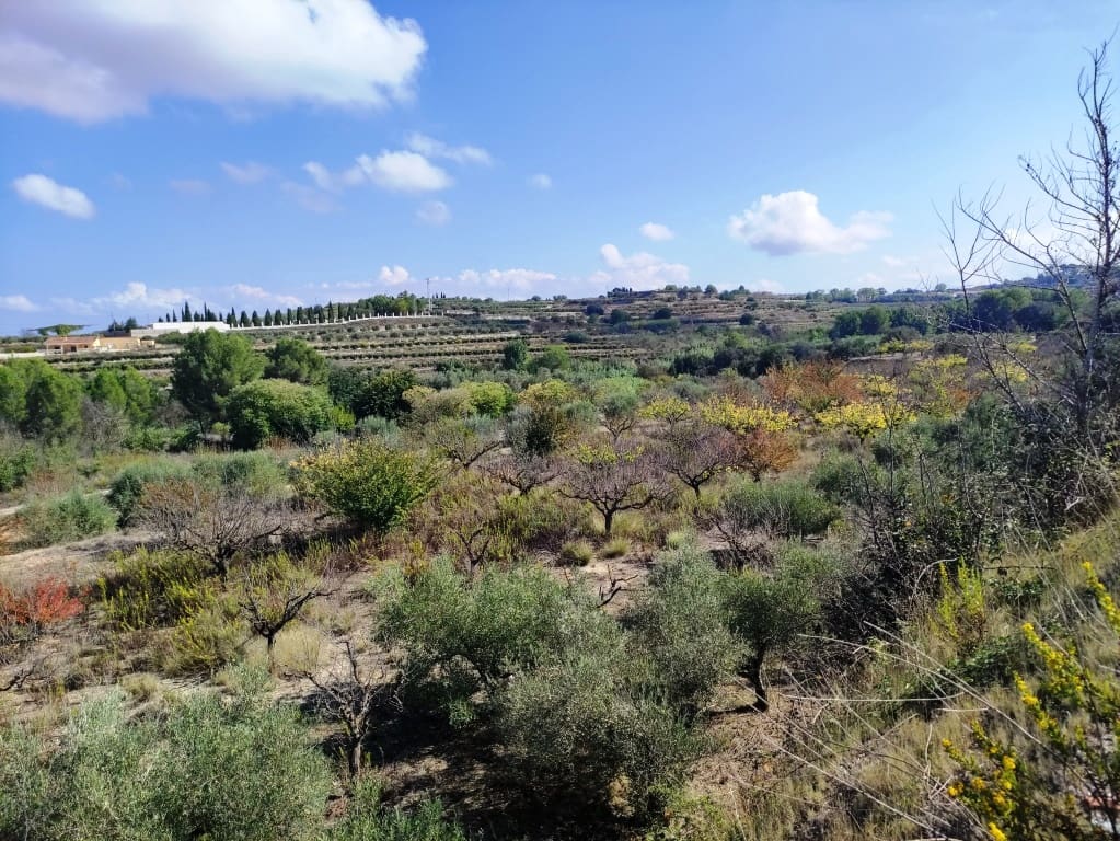 2 bedroom Finca/Country House for sale in Albaida with garage - € 129,950 (Ref: 9301422)