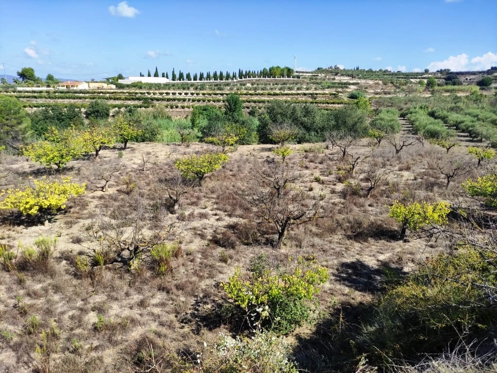 2 bedroom Finca/Country House for sale in Albaida with garage - € 129,950 (Ref: 9301422)