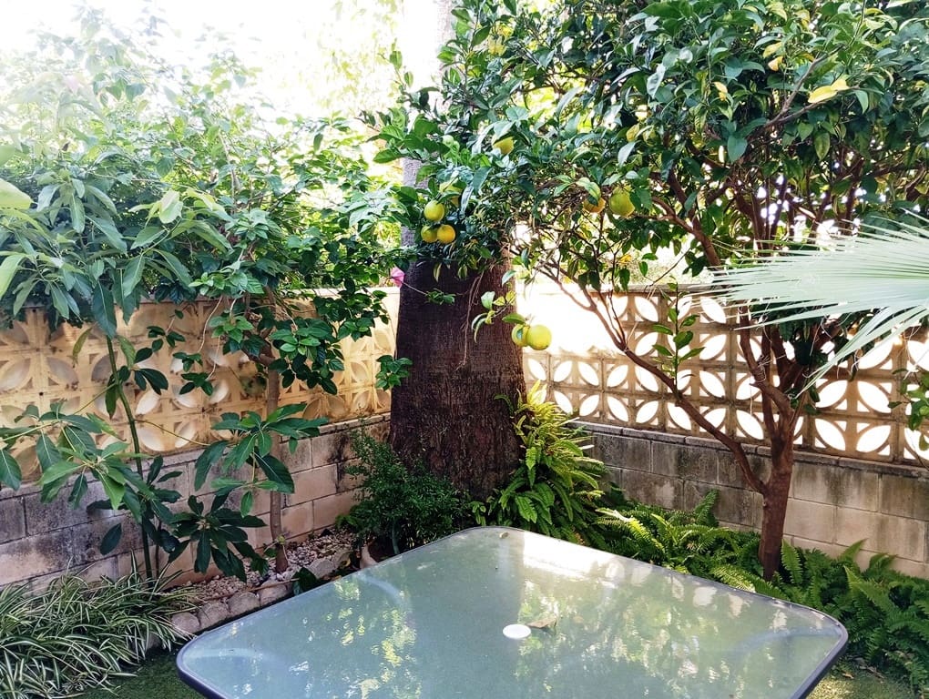 2 soveværelse Rækkehus til salg i Els Poblets med swimmingpool - € 260.000 (Ref: 9363115)