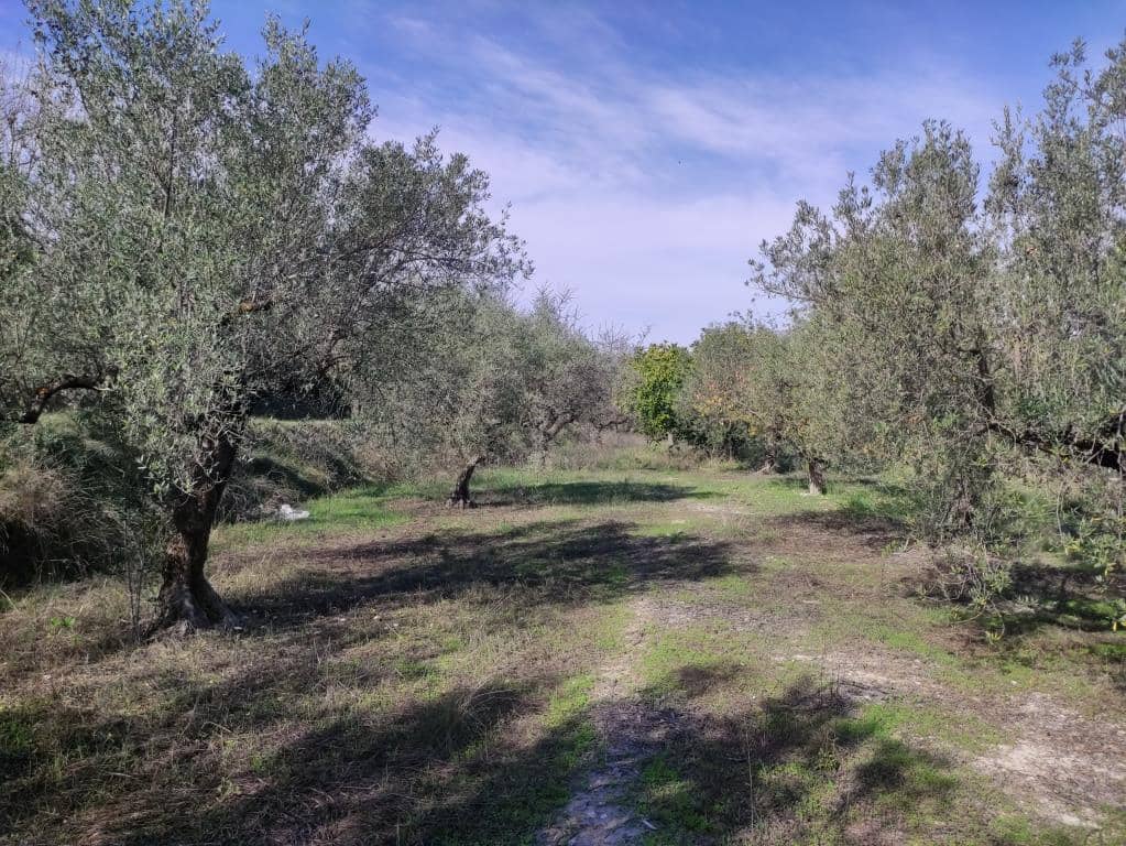 3 soverom Finca/Herregård til salgs i Benifallim med garasje - € 119 000 (Ref: 9383177)