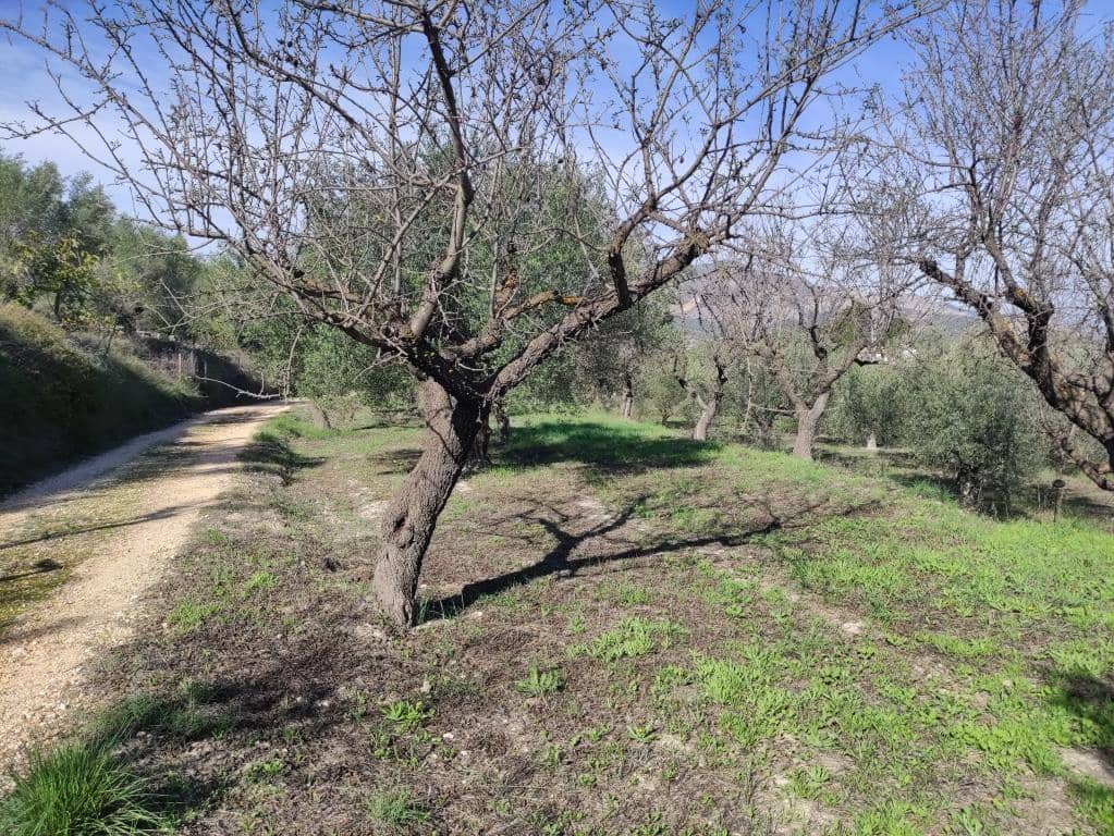 3 soverom Finca/Herregård til salgs i Benifallim med garasje - € 119 000 (Ref: 9383177)