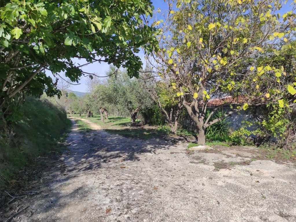 3 soverom Finca/Herregård til salgs i Benifallim med garasje - € 119 000 (Ref: 9383177)