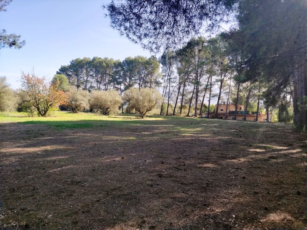 4 sovrum Finca/Hus på landet till salu i Muro de Alcoy - 295 000 € (Ref: 9442791)