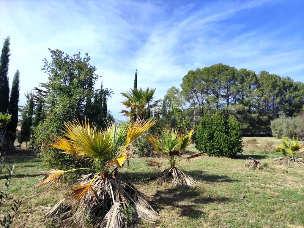 4 sovrum Finca/Hus på landet till salu i Muro de Alcoy - 295 000 € (Ref: 9442791)