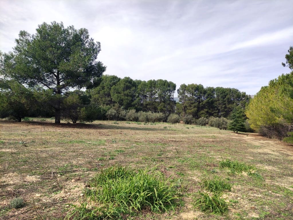 4 sovrum Finca/Hus på landet till salu i Muro de Alcoy - 295 000 € (Ref: 9442791)