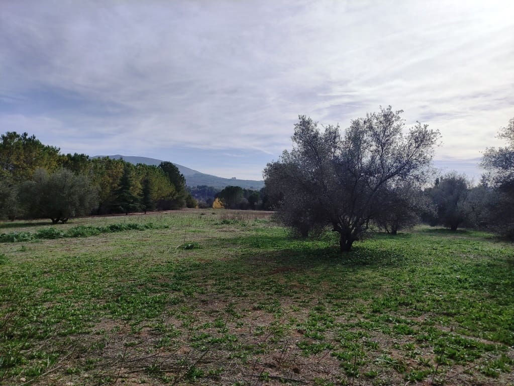 4 sovrum Finca/Hus på landet till salu i Muro de Alcoy - 295 000 € (Ref: 9442791)