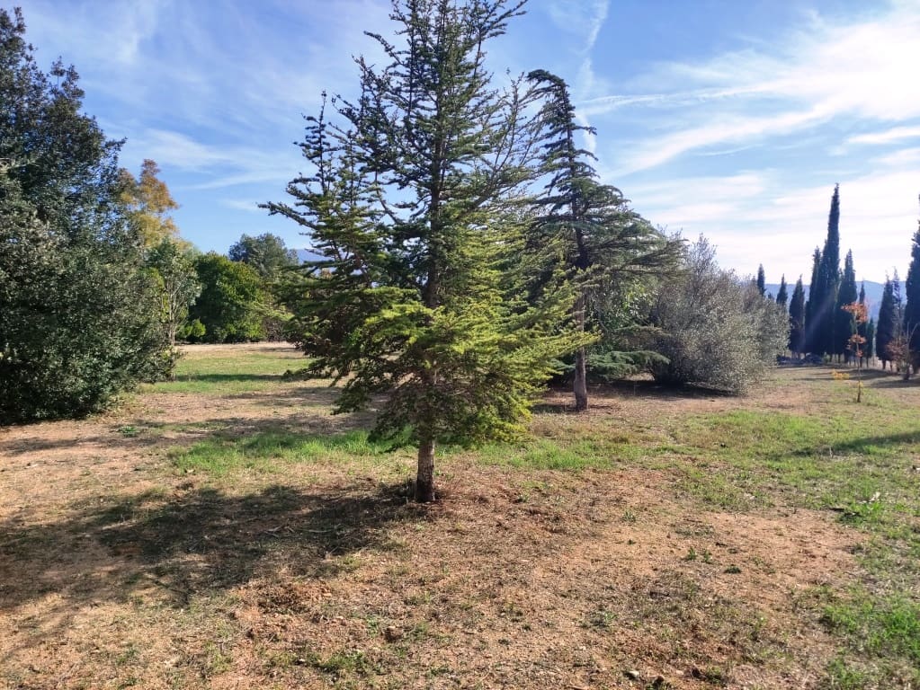 4 sovrum Finca/Hus på landet till salu i Muro de Alcoy - 295 000 € (Ref: 9442791)