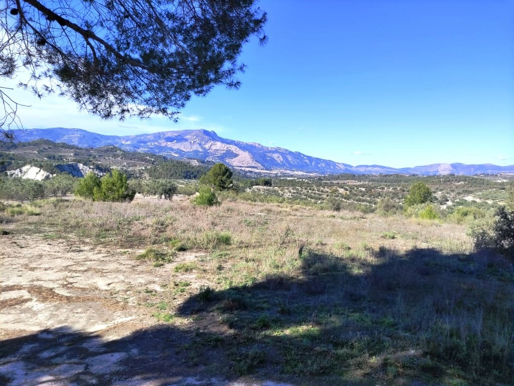 1 bedroom Finca/Country House for sale in Benilloba with pool - € 85,000 (Ref: 9462882)