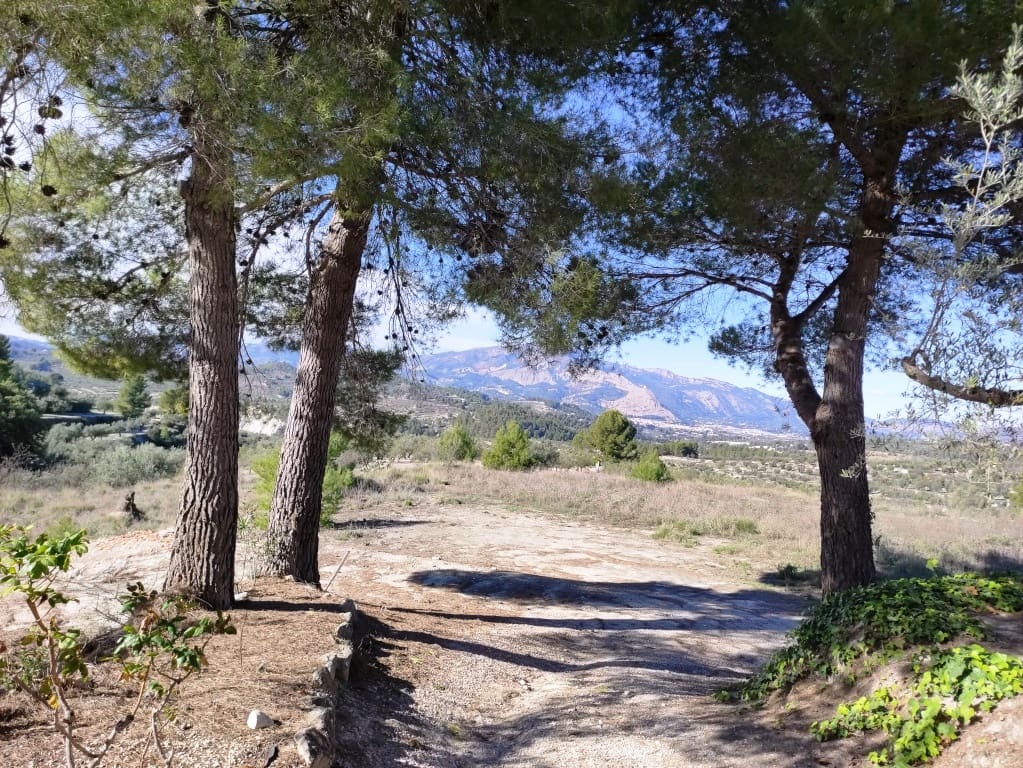 1 bedroom Finca/Country House for sale in Benilloba with pool - € 85,000 (Ref: 9462882)