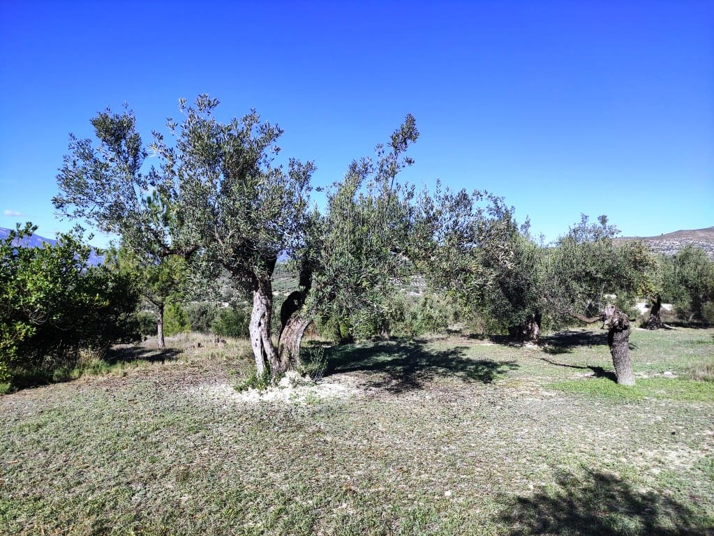 1 bedroom Finca/Country House for sale in Benilloba with pool - € 85,000 (Ref: 9462882)