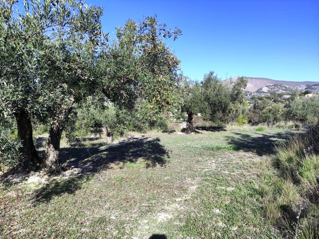 1 bedroom Finca/Country House for sale in Benilloba with pool - € 85,000 (Ref: 9462882)