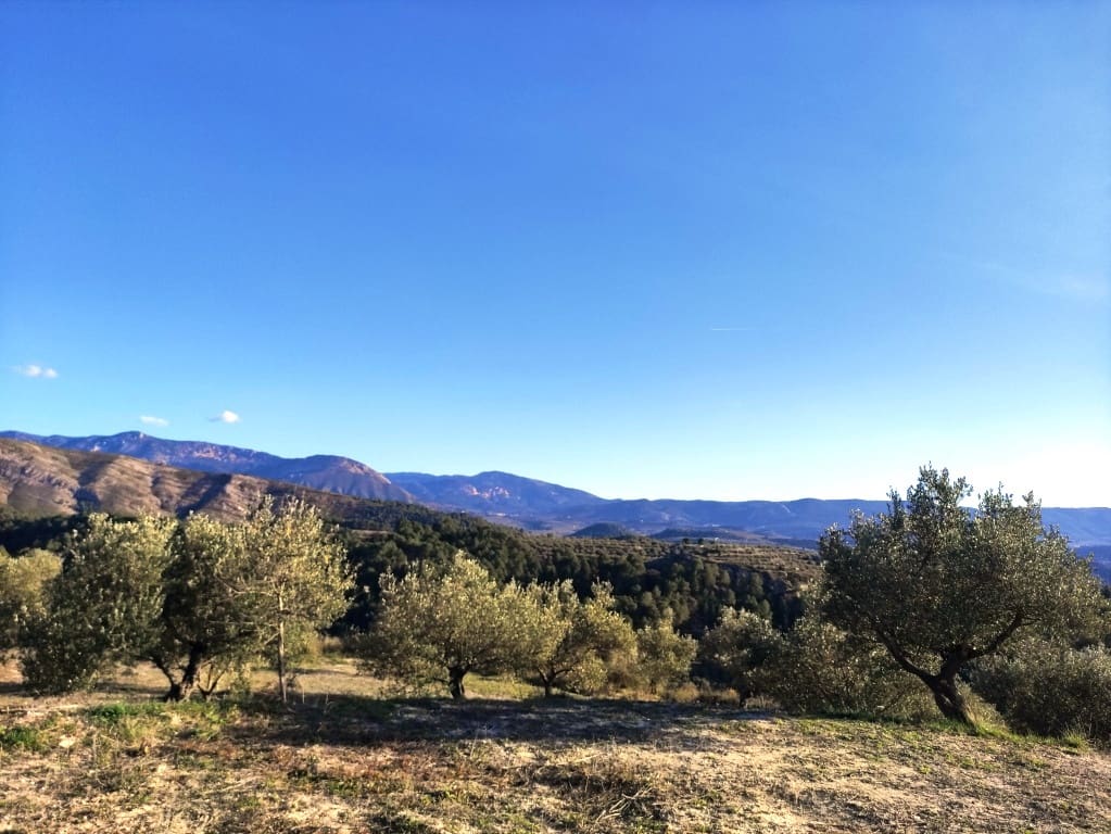 2 soveværelse Finca/Landehus til salg i Millena med swimmingpool - € 130.000 (Ref: 9550166)