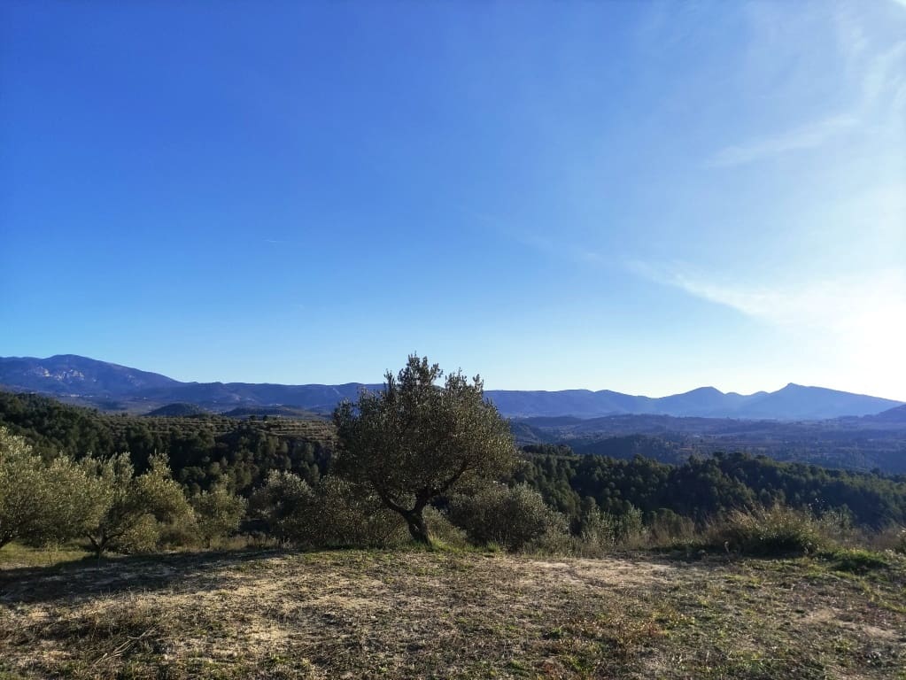 2 soveværelse Finca/Landehus til salg i Millena med swimmingpool - € 130.000 (Ref: 9550166)