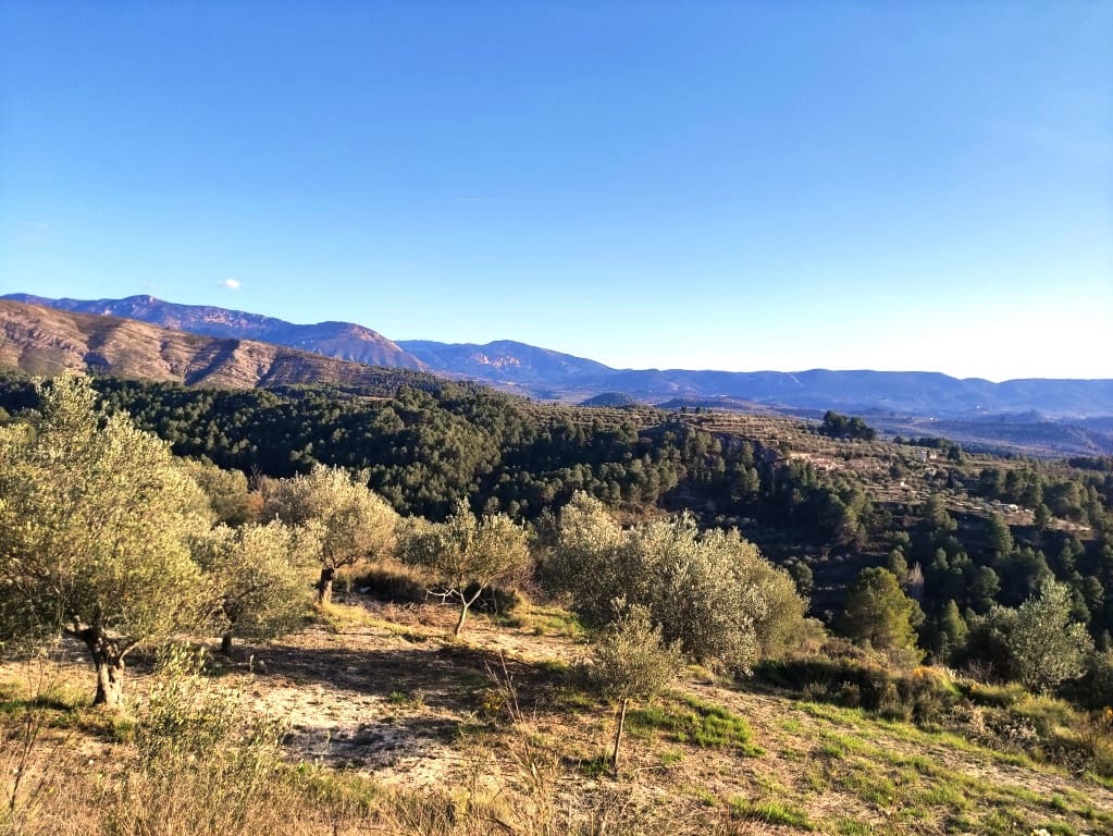 2 soveværelse Finca/Landehus til salg i Millena med swimmingpool - € 130.000 (Ref: 9550166)