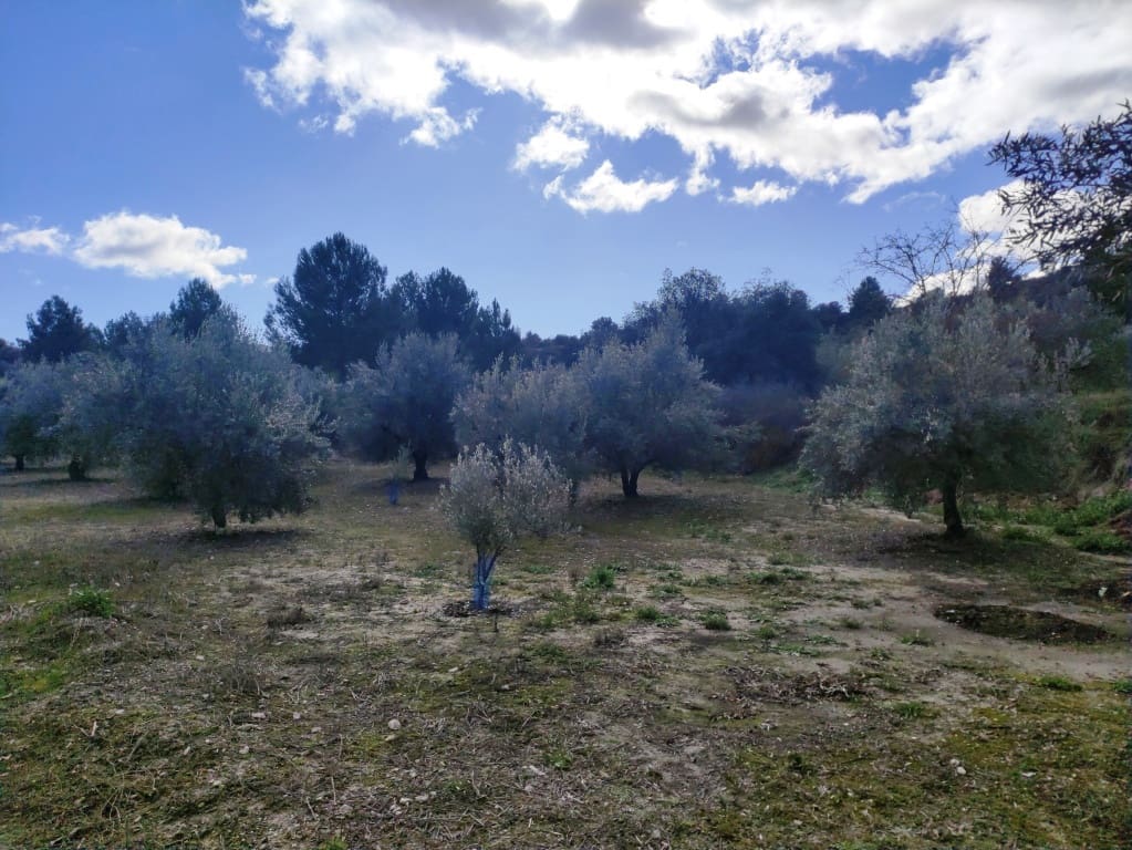 Finca/Casa Rural de 5 habitaciones en Benilloba en venta con piscina garaje - 180.000 € (Ref: 9550339)