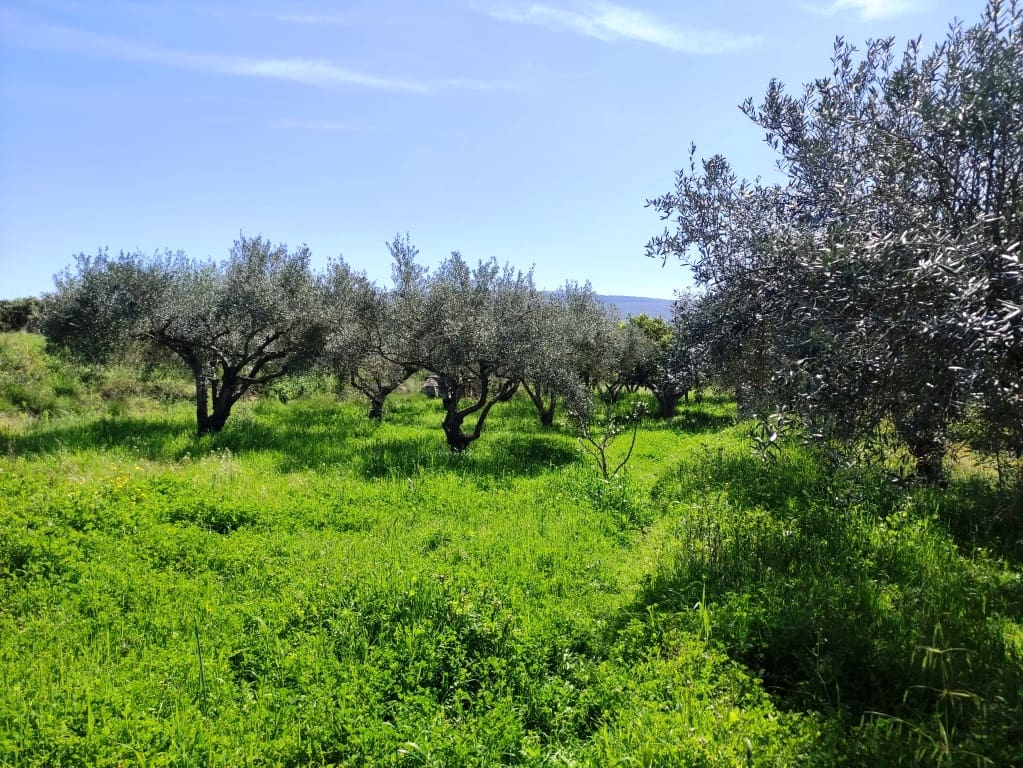 4 bedroom Finca/Country House for sale in Agullent with pool - € 167,000 (Ref: 9739166)