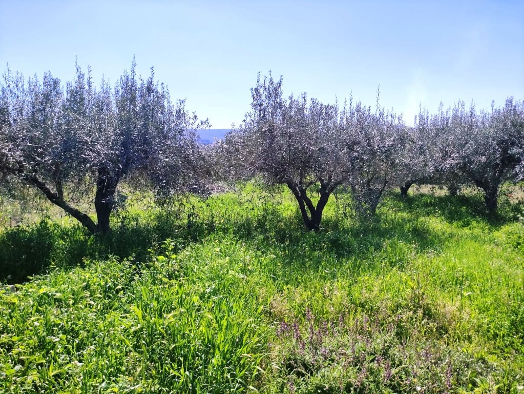 4 bedroom Finca/Country House for sale in Agullent with pool - € 167,000 (Ref: 9739166)