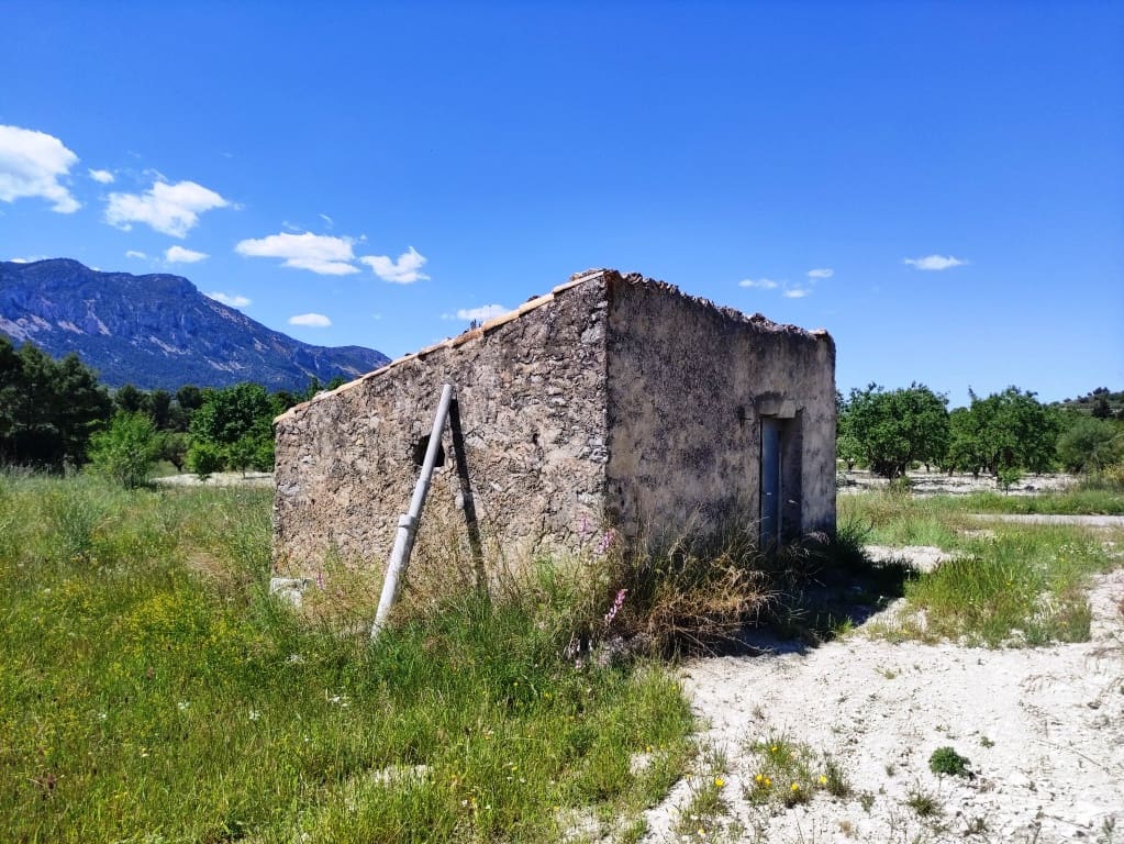 Undeveloped Land for sale in Benimassot - € 43,000 (Ref: 9865474)
